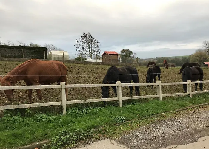 Akoa Bed & Breakfast